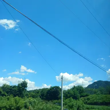 Profile image of 한유리