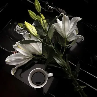 Profile image of 우치나가 애리