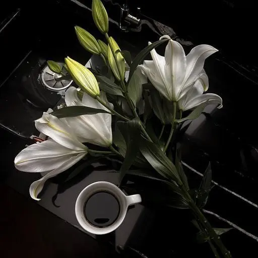 blue_motive의 우치나가 애리