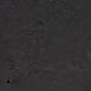 Profile image of 坂本 賢