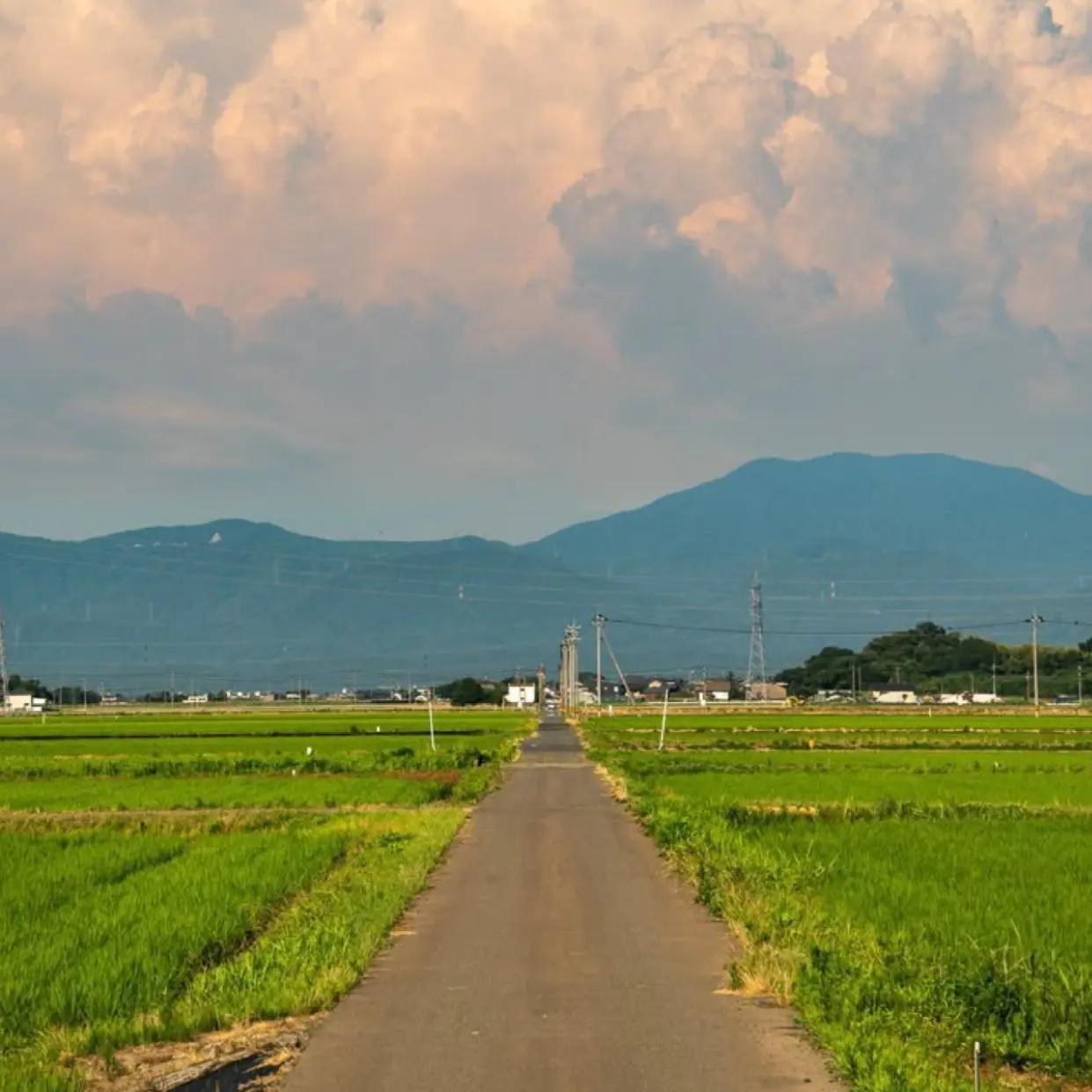 OTHELLOMAN20090506의 妖怪日和、俺受難。