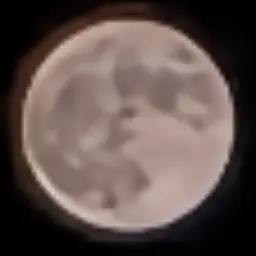 Profile image of ブリ子