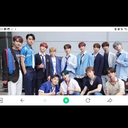 VocalBack3112의 세븐틴 가족(입양아 옴)