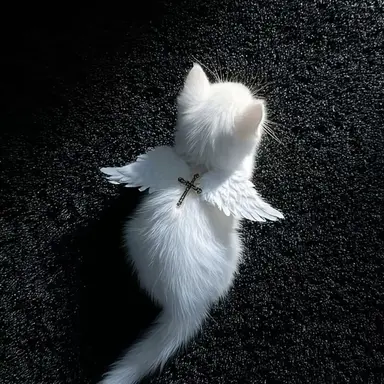 Profile image of user