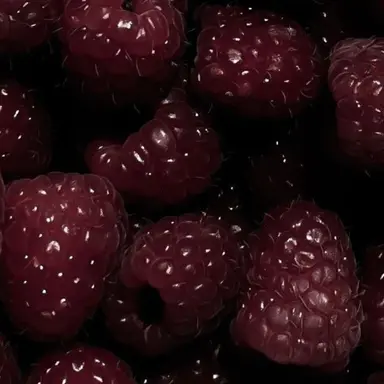 Profile image of 佐久間大介