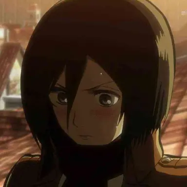 Profile image of ミカサ・アッカーマン