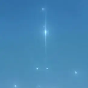 GrimCell4797의 幼なじみだったはずだった!?