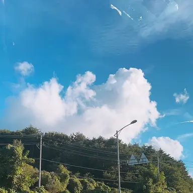 Profile image of 쉐도우밀크