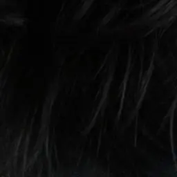 NarrowRhea5054의 한동믽