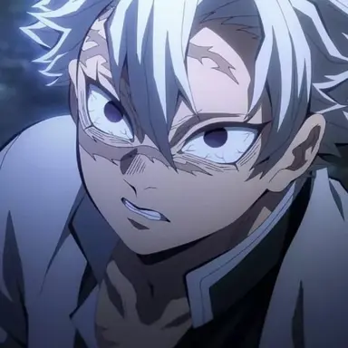 Profile image of 시나즈가와 사네미