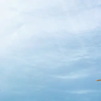 Profile image of 방랑자