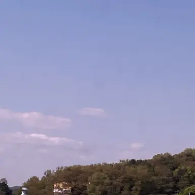 Profile image of 배진솔