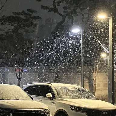 Profile image of 릴리