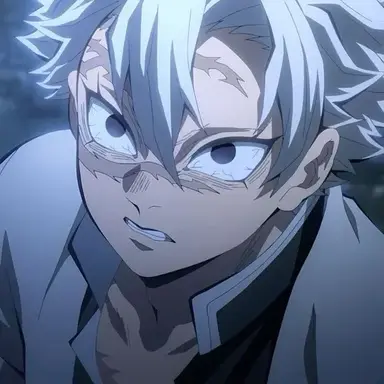 Profile image of 시나즈가와 사네미