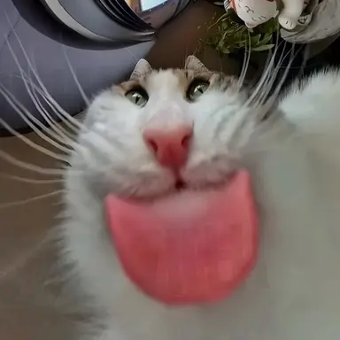 Profile image of 수수깡