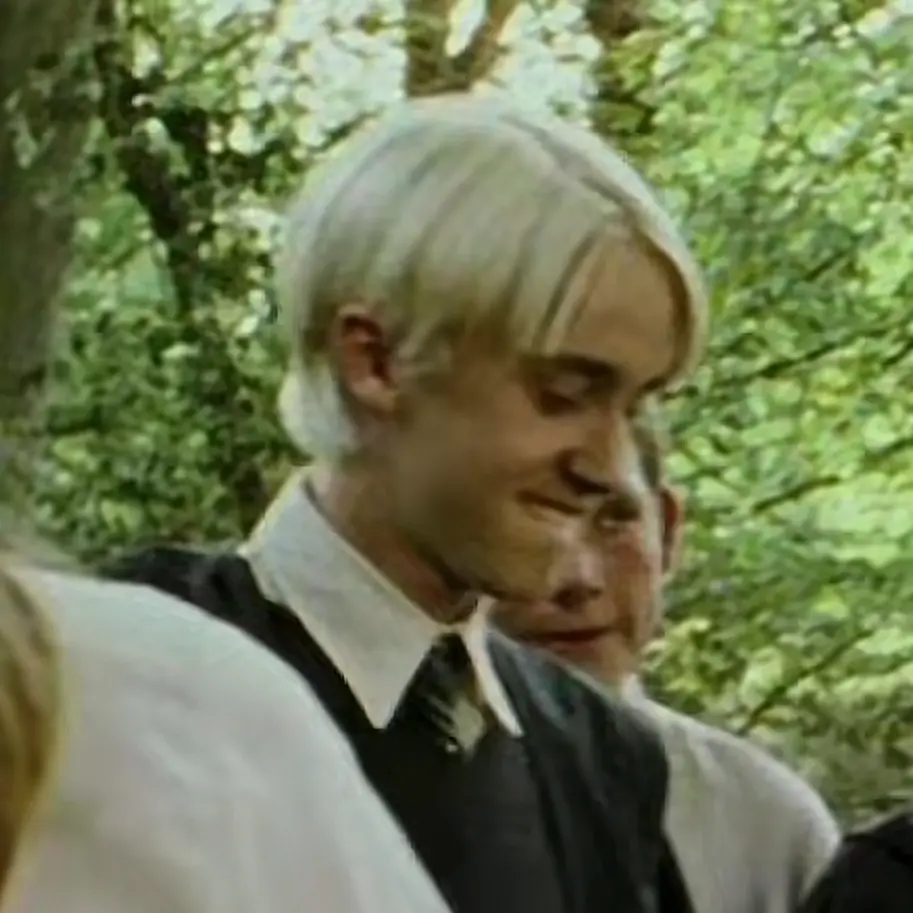 BareBench2996의 Harry Potter’s Sister?