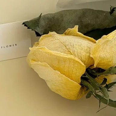 Profile image of 김각별