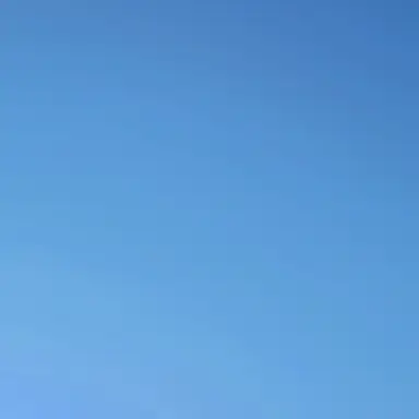 Profile image of BMSG