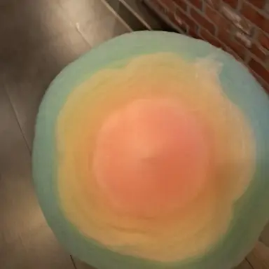 Profile image of 유기사