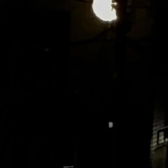 ShrillLady0853의 奪ワレタコトバ