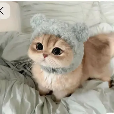 Profile image of 초코