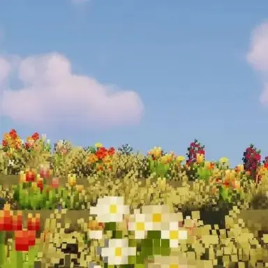 Profile image of 니노 선데이