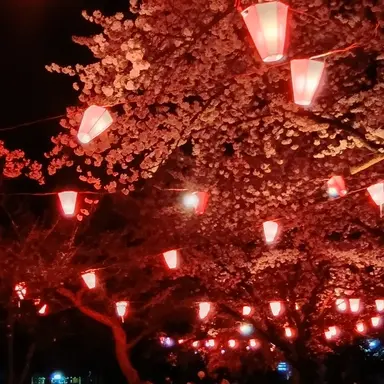 Profile image of 桜崎　怜