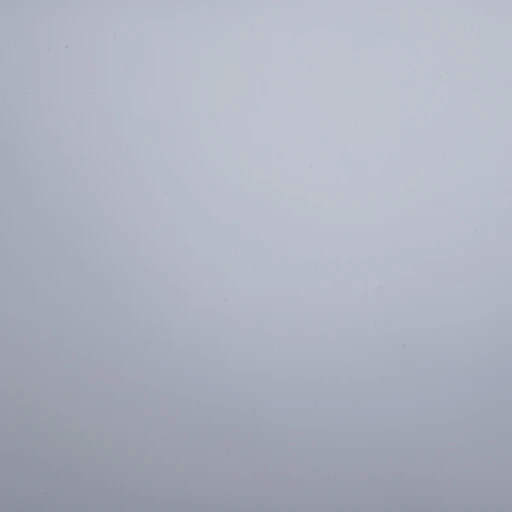 김도현