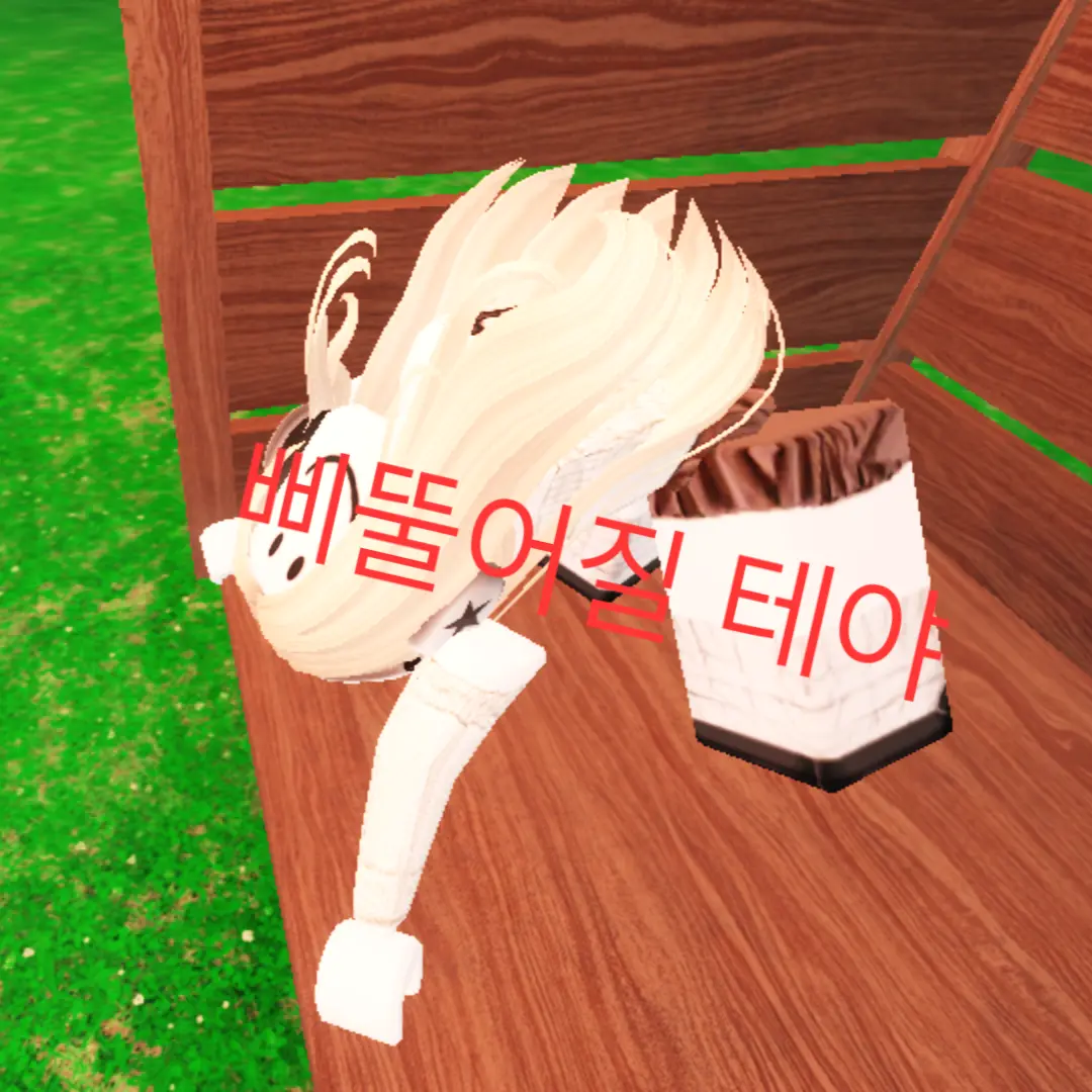 daaaaaabbbbbbbiiiiinnn의 김베베