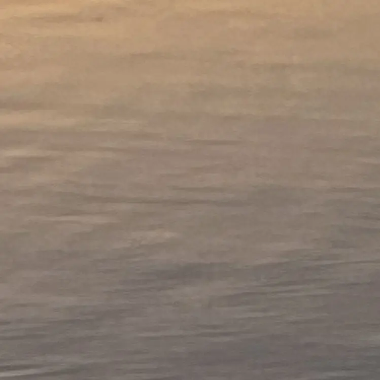 PoeticTrout5783의 Dawn Walks with the President