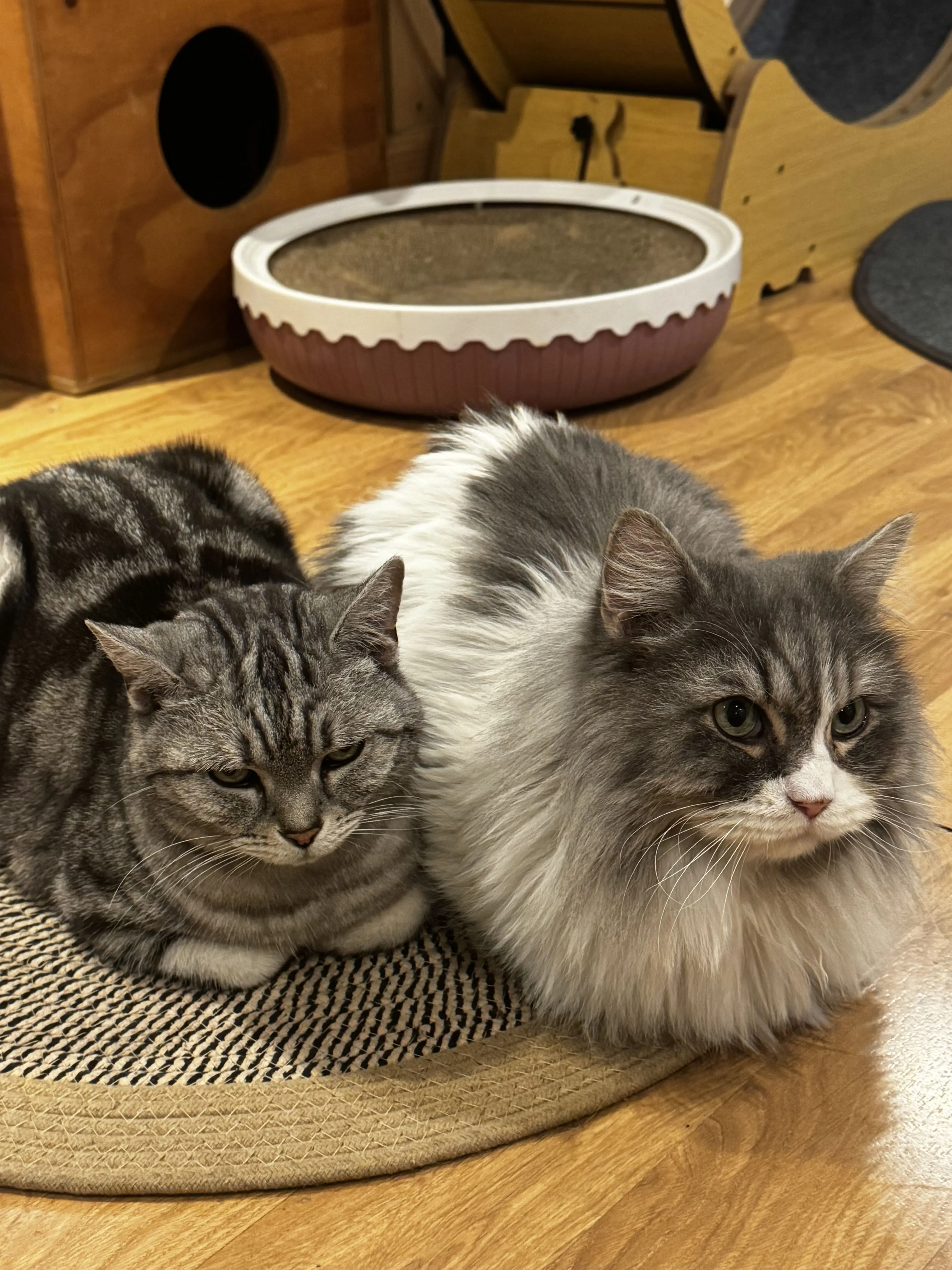 chaeeeeee의 이민호