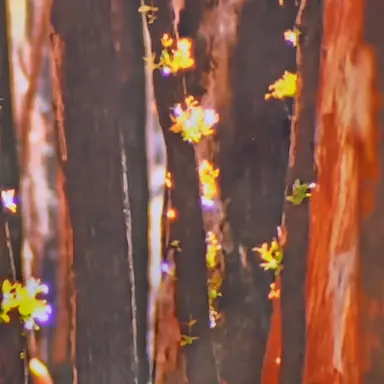 Profile image of 체육 쌤