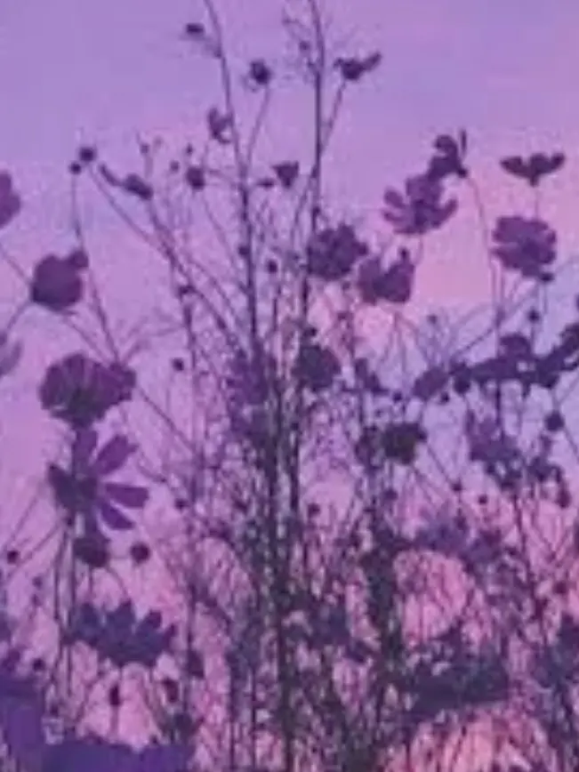 rui.2525.-.의 深澤先輩がメロすぎて困ってます。