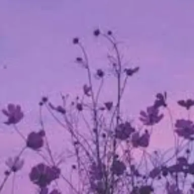 Profile image of 深澤 辰哉