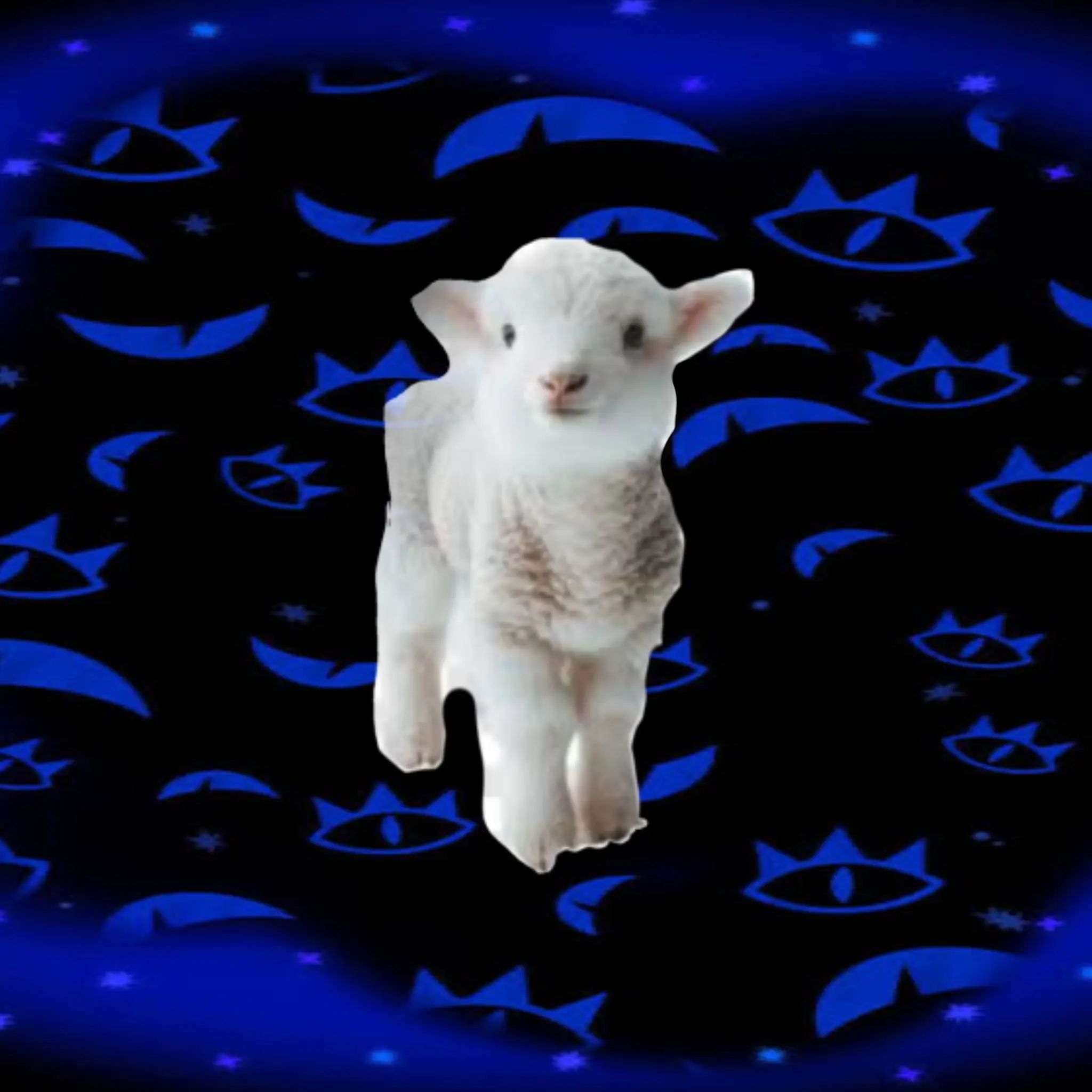 mmang의 쉐도우밀크 쿠키