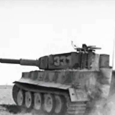 Profile image of 티거