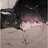 박재운