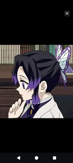 Profile image of 胡蝶しのぶ