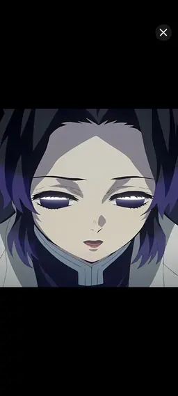 Profile image of 胡蝶しのぶ