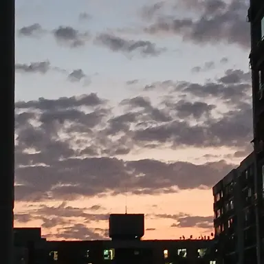 Profile image of 별빛고 혼혈 전학생