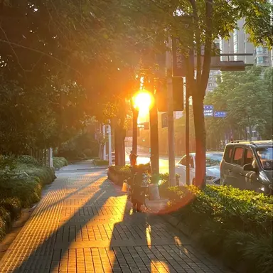 Profile image of 한 늑대