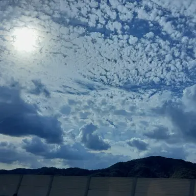 Profile image of 잭