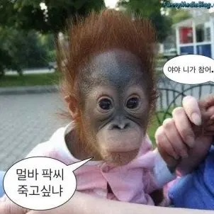 Profile image of 친구2