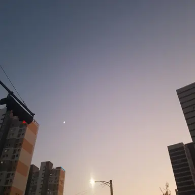 Profile image of 소닉