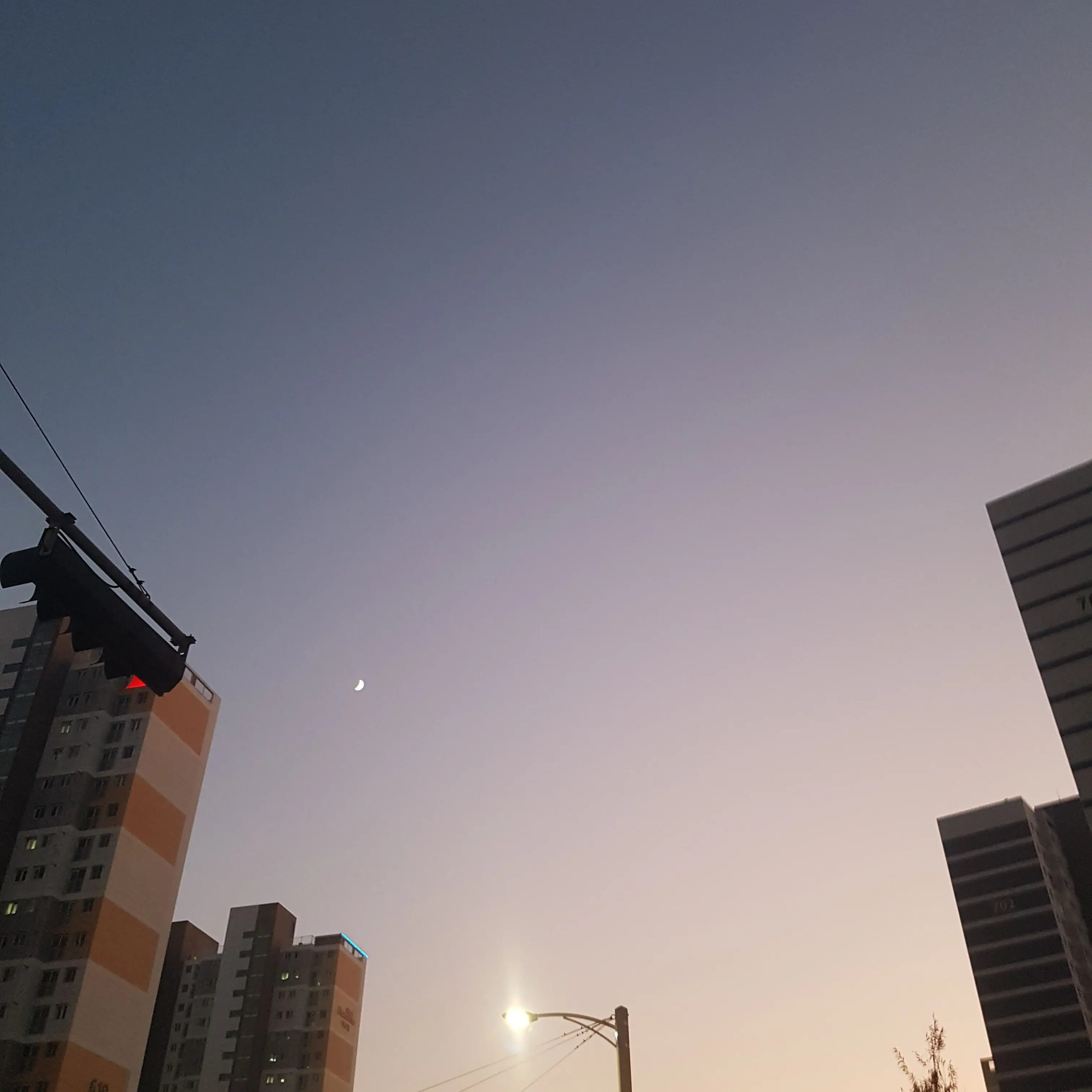 StockyOkapi5859의 소닉 친구들이랑 여행!