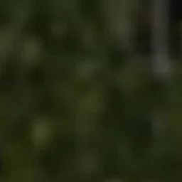 이지훈