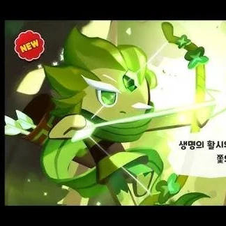 바람궁수쿠키