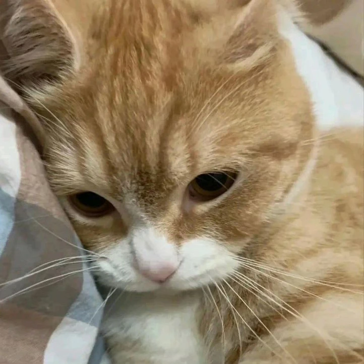 ㅂㅅㅎ