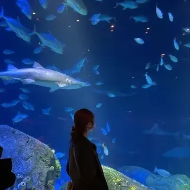 Profile image of Coralia