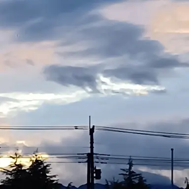 Profile image of てんしん